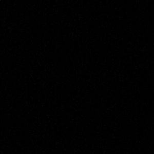 Meet your Posher, Zoe